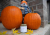 Grandma's Pumpkin Pie Natural Soy Candle | 5oz. Handmade Soy Wax Candle